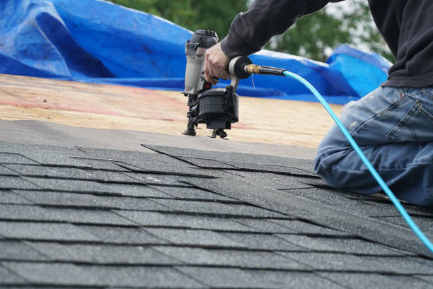 Best Roof Installation  in Frankfort, MI