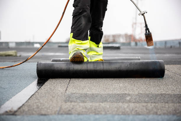Best Emergency Roof Repair Services  in Frankfort, MI